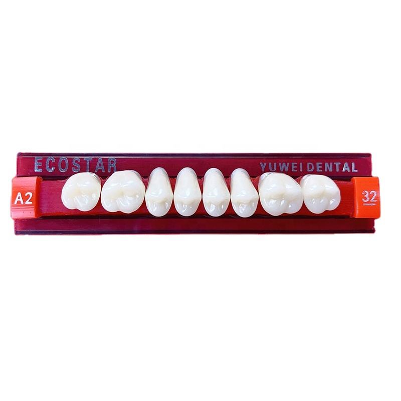 acrylic denture teeth
